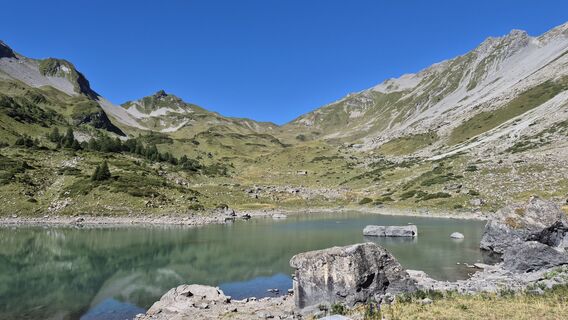 Fotografia z alinradu na trase