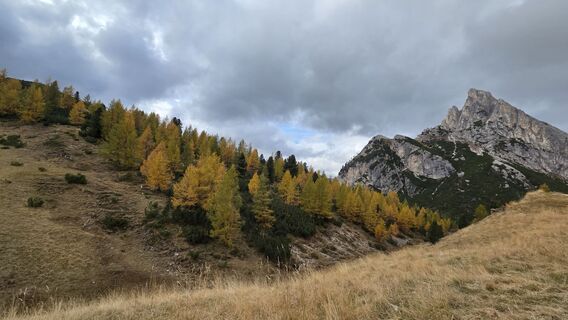 Photo de Klementina Gartner le long du parcours