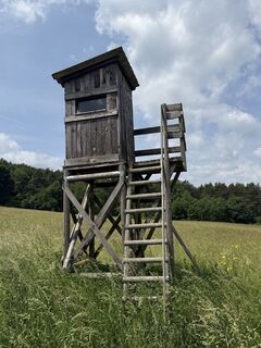 Gaaden, Niederösterreich/Österreich
