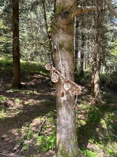 Foto von Babs Holz entlang der Tour