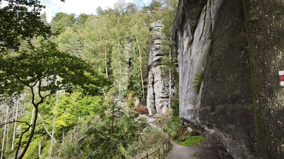 Zdjęcie z Frederick Müller wzdłuż trasy