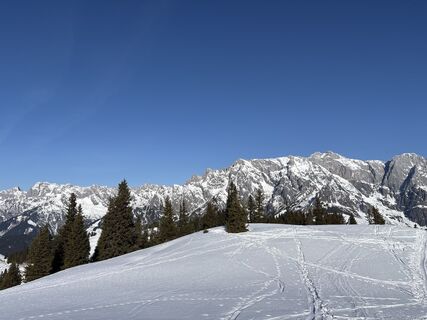 Fotografia z Heinz Sperl na trase