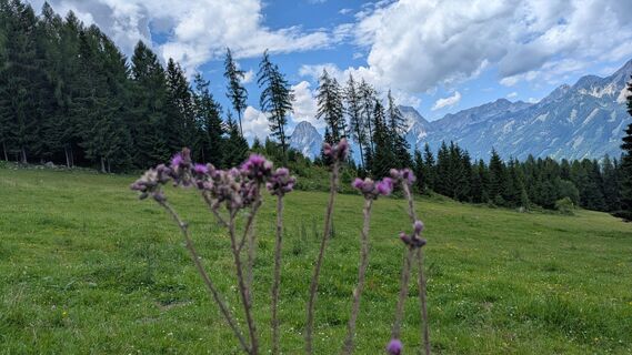 Fotografija s spletne strani Ziegler Em1304 na poti