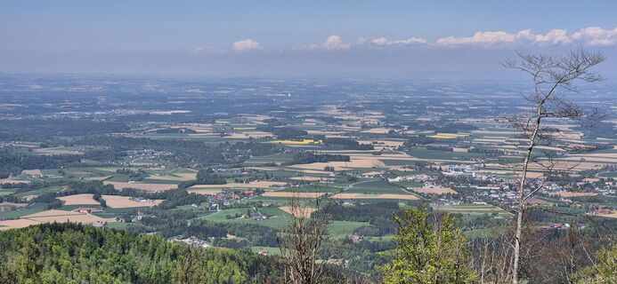 Foto von Peter Forst 1 entlang der Tour