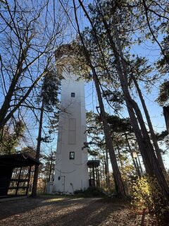 Fotografia z RS76 na trase