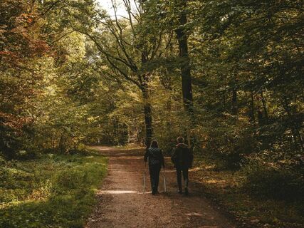 bad-driburg-nordic-walking-pexels-matreding-5483841.jpg
