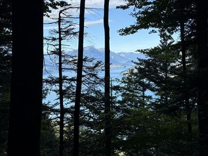 Fotografija s spletne strani Kurt Von  Kurt na poti