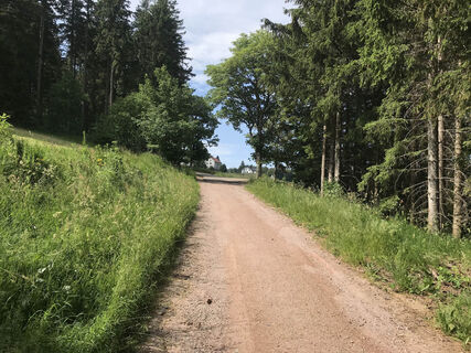 Auf sonnigen Wegen zur Escheck
