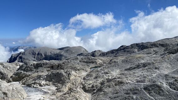 Fotografia z blackpanther666 na trase