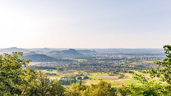 Panoramablick auf die Hegau-Vulkane vom Albertine Steig