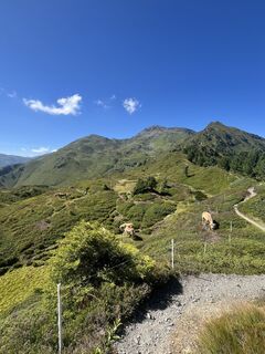 Foto von Fabio Schramm entlang der Tour