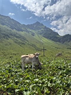 Photo de Francis Bendel le long du parcours