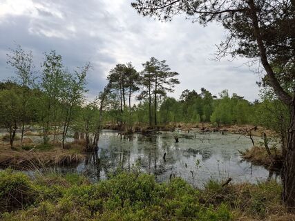 Fotografie z nordbergschnecke na trase