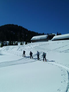Skitour auf den Peitlernock (2.244m) im Nationalpark Nockberge