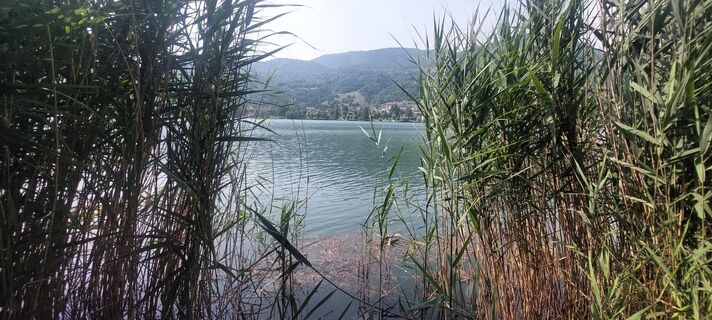 Foto de Mauro Geroldi (Gerry) a lo largo del recorrido