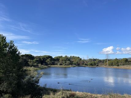 Fotografija s spletne strani Veronika Köppen na poti