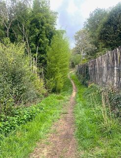 MONTIGNAC-Promenade de Lascaux-Chemin