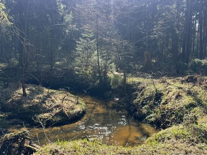 Zdjęcie z Norbert Herbig wzdłuż trasy