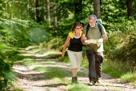 Wandern in der Dübener Heide