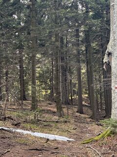 Foto de Kersten Viehmann a lo largo del recorrido