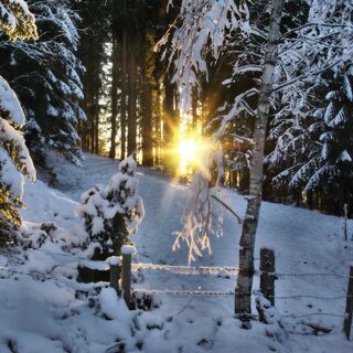Winterwandern