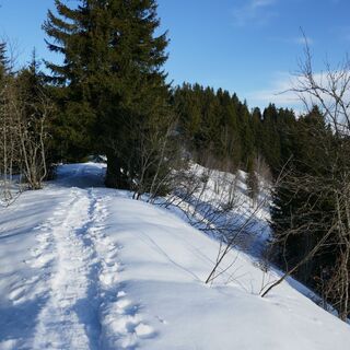 Schneeschuhtrail-Panoramawegtrail