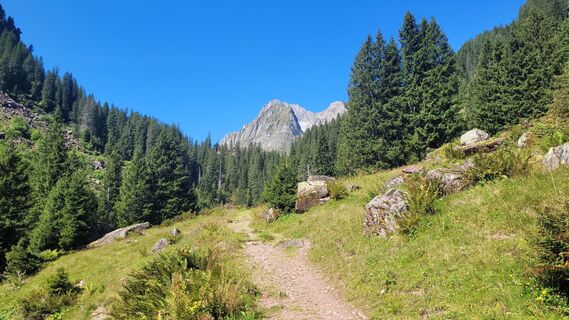 Foto von deniuru entlang der Tour