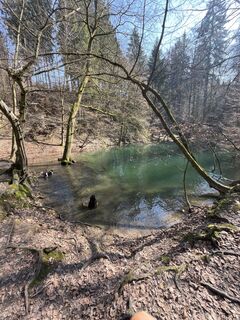 Fotografija s spletne strani Stefan Bonnes na poti