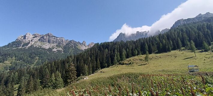 Hermagor-Pressegger See, Kärnten/Österreich