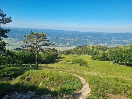 Foto von Grizli entlang der Tour