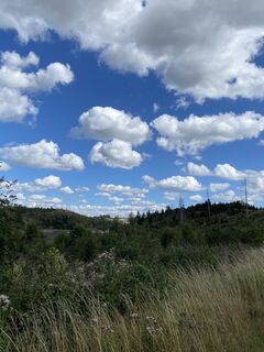 Fotografija s spletne strani Iris Winkelmann na poti