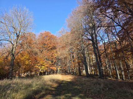Foto von János Zsolt Mahr entlang der Tour