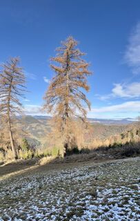 Photo de Susanne le long du parcours
