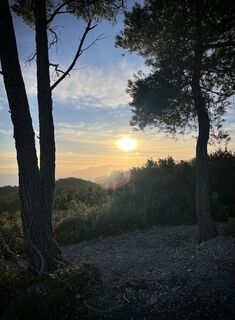 Fotografija s spletne strani Aurelian Böhler na poti