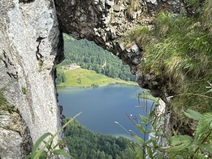 Zdjęcie z Natur_erleben_dg wzdłuż trasy