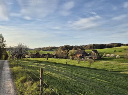 Foto von Markus Christen entlang der Tour