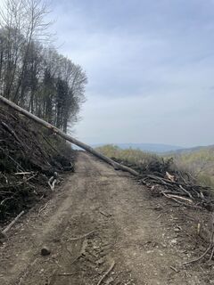 Photo de Tilen Kores le long du parcours