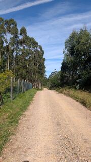 Foto de Günter Ripken a lo largo del recorrido