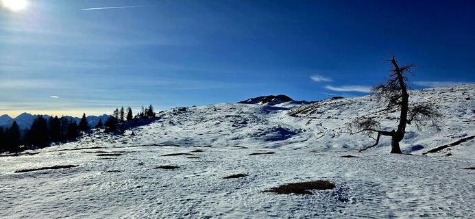 Fotografia z Juri Herre & Rocky na trase