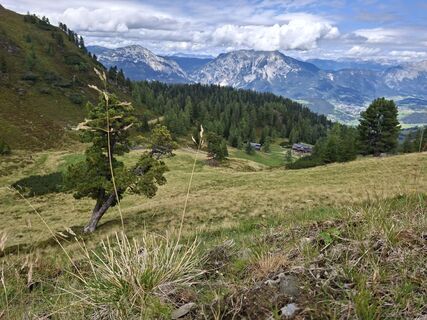 Foto von Berger entlang der Tour