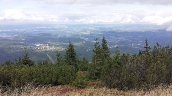 Foto von Zd L entlang der Tour