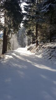 Schneeschuh-Wanderweg Rambött-Gorda
