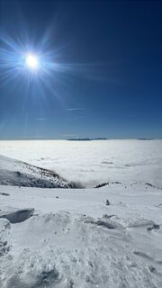 Foto von Flocke Florian entlang der Tour