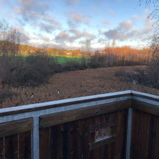 Der Aussichtsturm ist ein guter Ort, um die Vögel im Feuchtgebiet zu beobachten