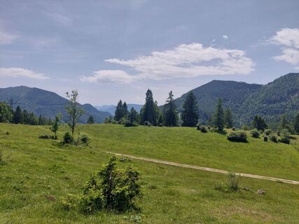 Foto från Helmut Wagner 2 under resans gång