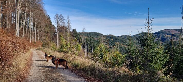 Foto von Manuela Huemer Frisco entlang der Tour