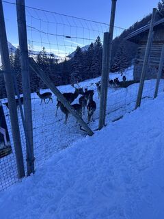 Zdjęcie z Jared Cannon wzdłuż trasy