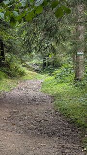 Kuva osoitteesta Jele Hannes matkan varrella