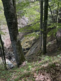 Foto von Bedy entlang der Tour