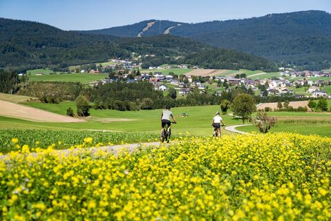 MountainbikenWeitblickHochfichtUlrichsberg06_FerienregionBoehmerwaldJustinBerlingerFotografie.jpg
